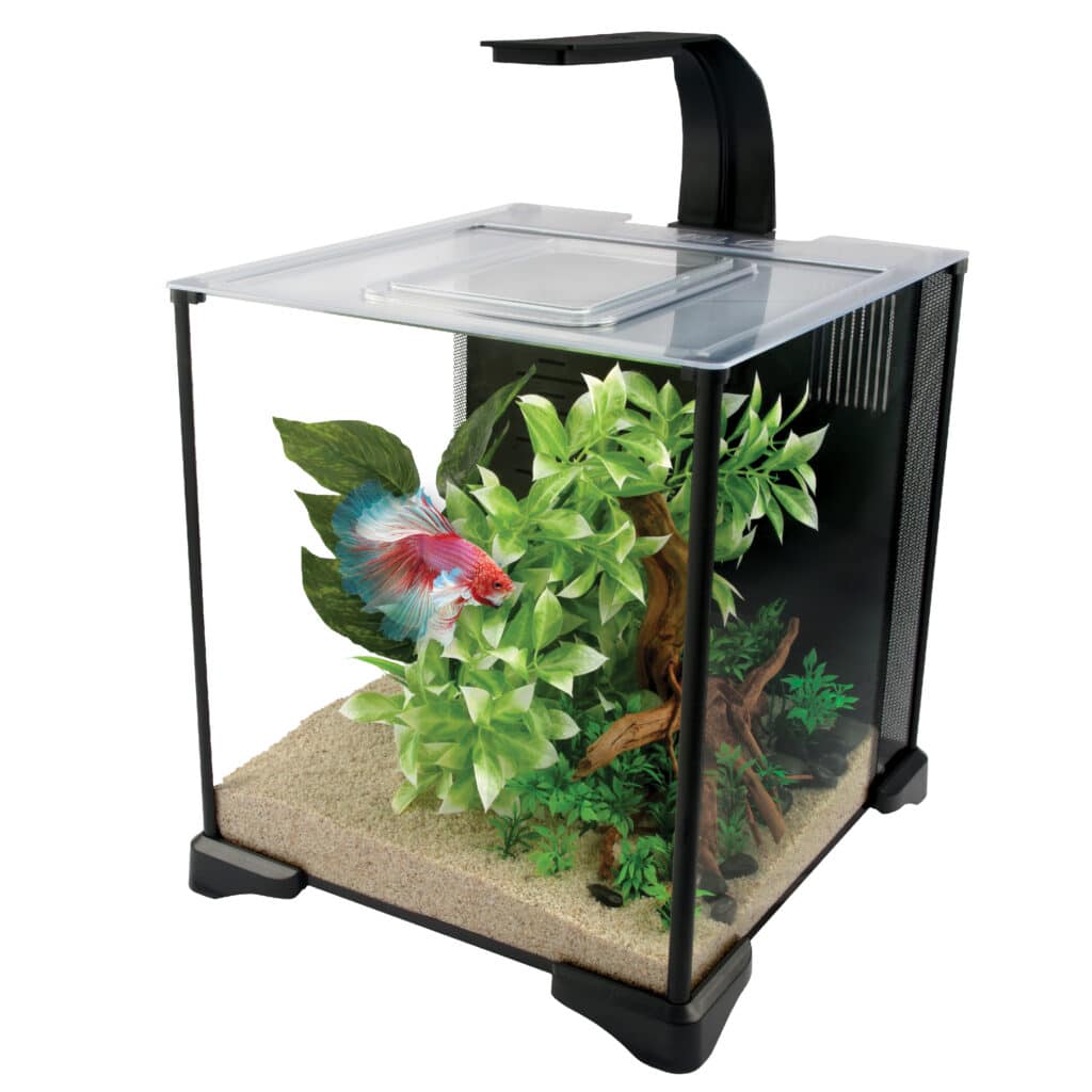 Fluval Betta Aquarium Kit 20L