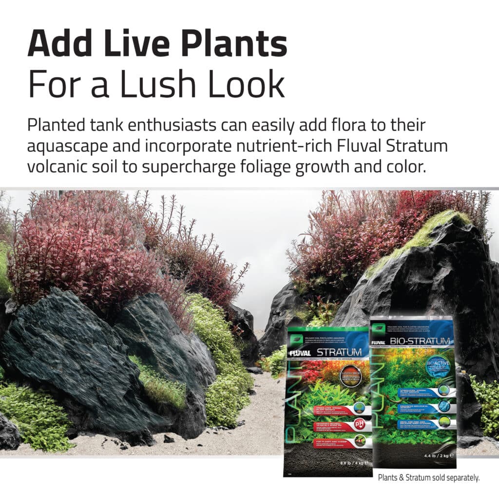 Kit Aquascaper Fluval Black Basalt