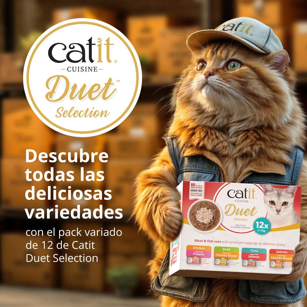 Dúo de carne con toppings para gatos Catit Cuisine Duet
