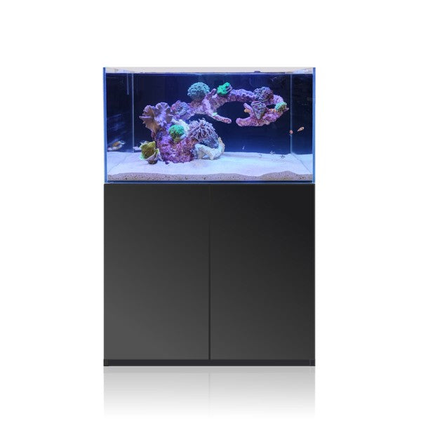 Vista frontal Gran Cubid SUPER REEF de color negro cerrado