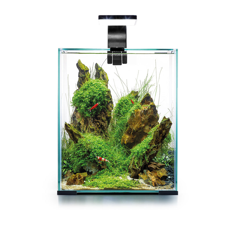 Aquael SHRIMP SET Day & Night 20