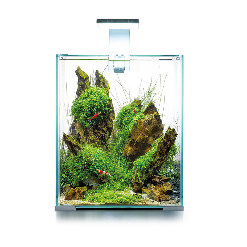 Aquael SHRIMP SET Day & Night 20