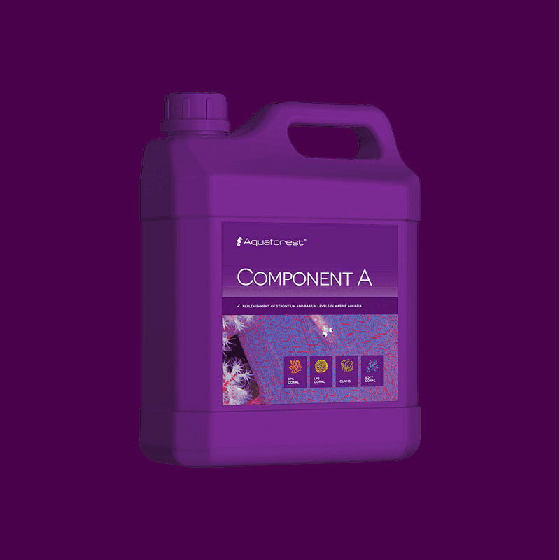 Component-A de 2000 ml