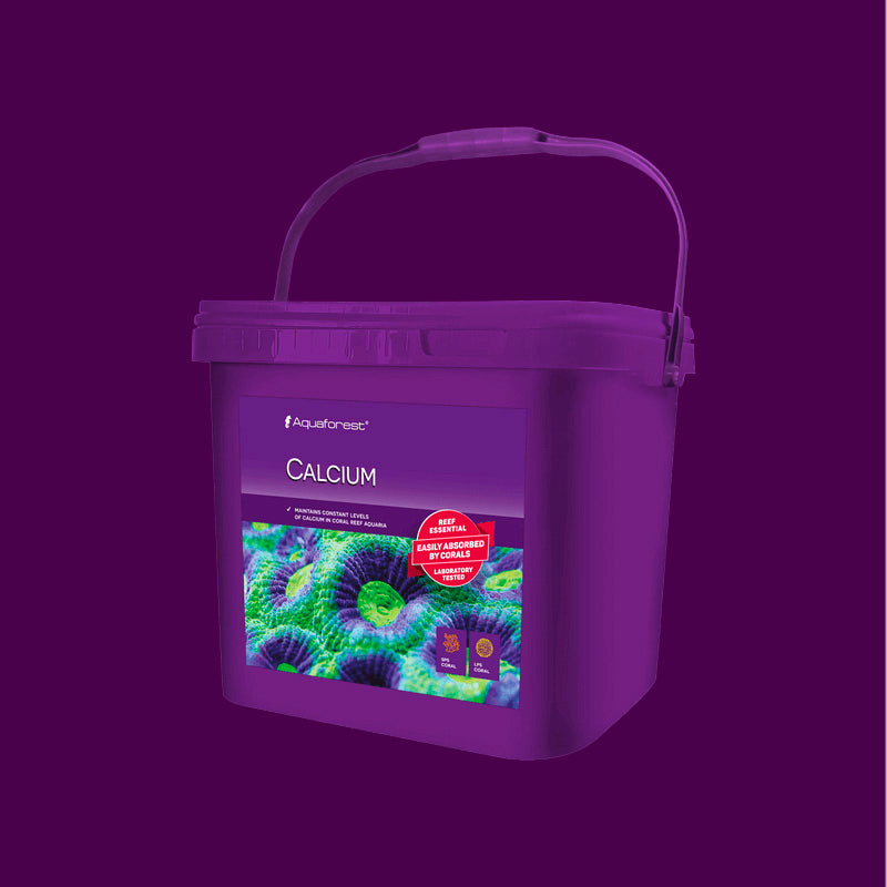 Calcio envase de 3,5 kg