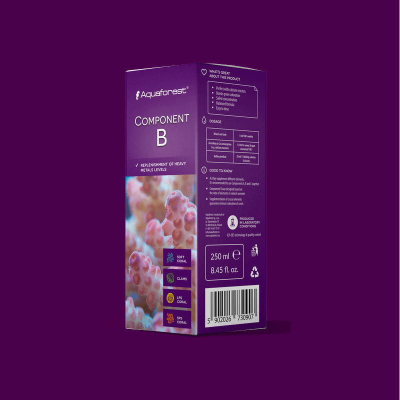 Component-B de 250 ml.