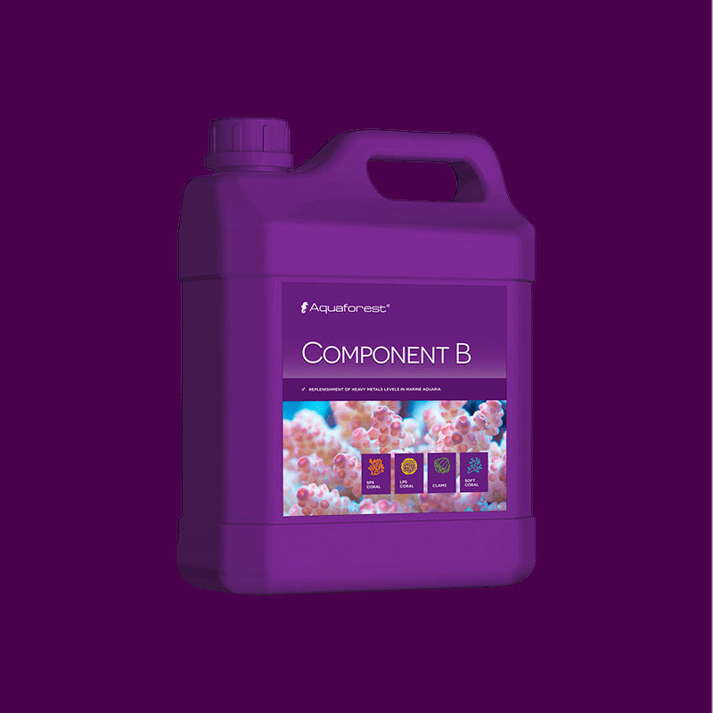 Component-B de 2000 ml.