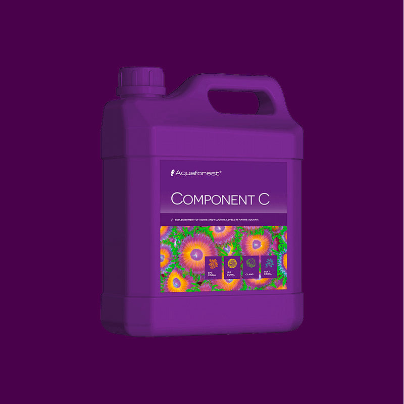 Component-C de 2000 ml.