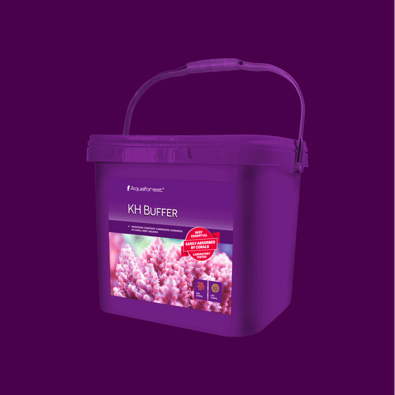 kH Buffer envase de 5 Kg.