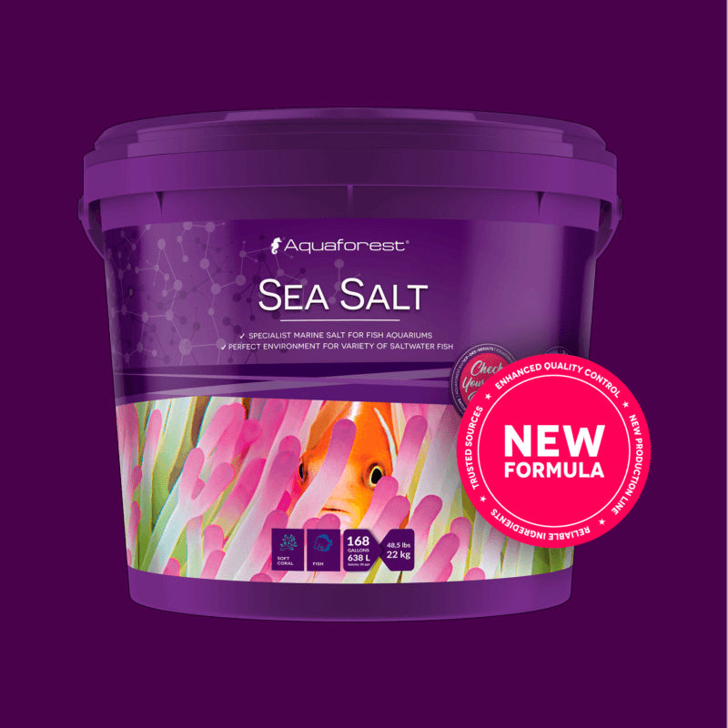Sea salt de 22 Kg