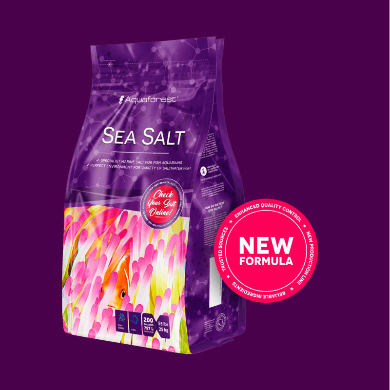 Sea salt de 25 Kg