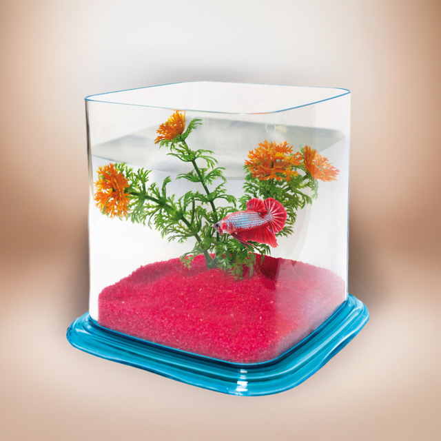 Bettera Battle Paradise de 6.4L