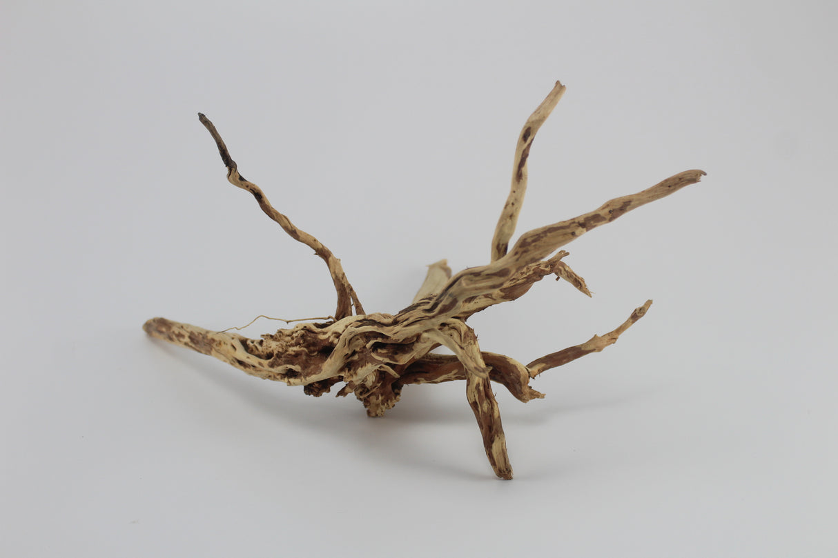 Tronco Coral Sinker para acuario