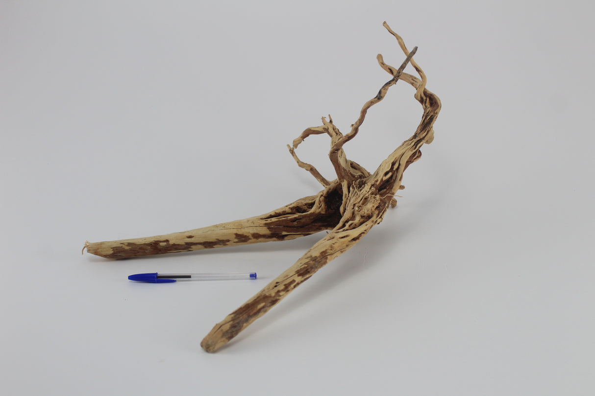 Tronco Coral Sinker para acuario