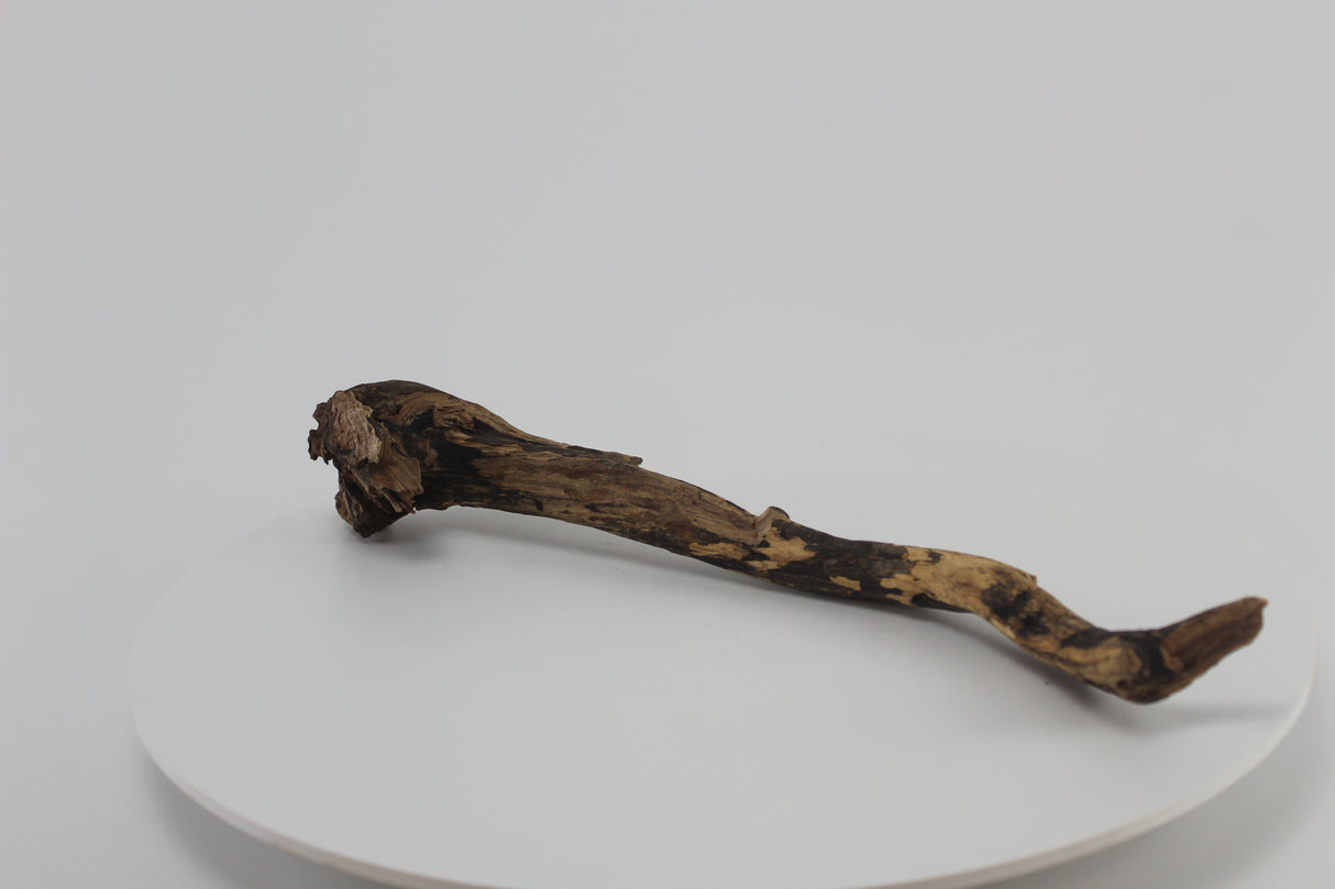 Tronco Coral Sinker para acuario