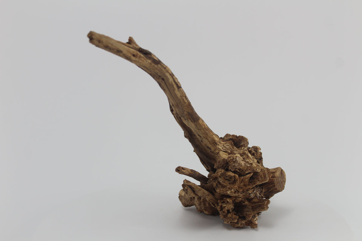 Tronco Coral Sinker para acuario