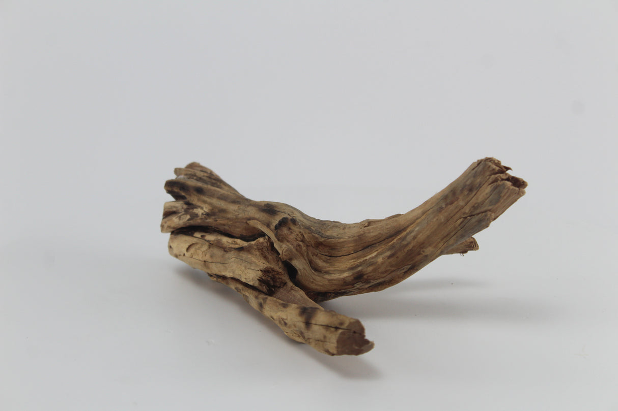 Tronco Coral Sinker para acuario