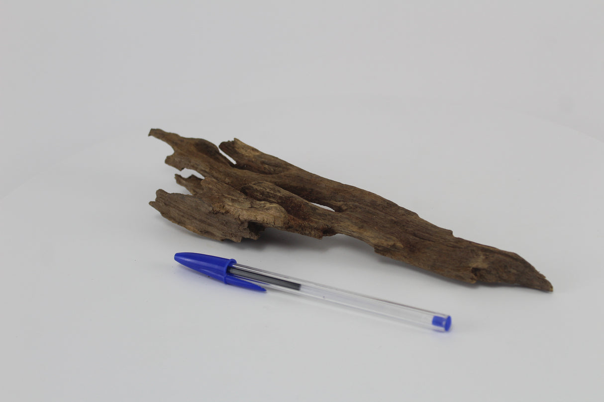 Dragon wood para acuario