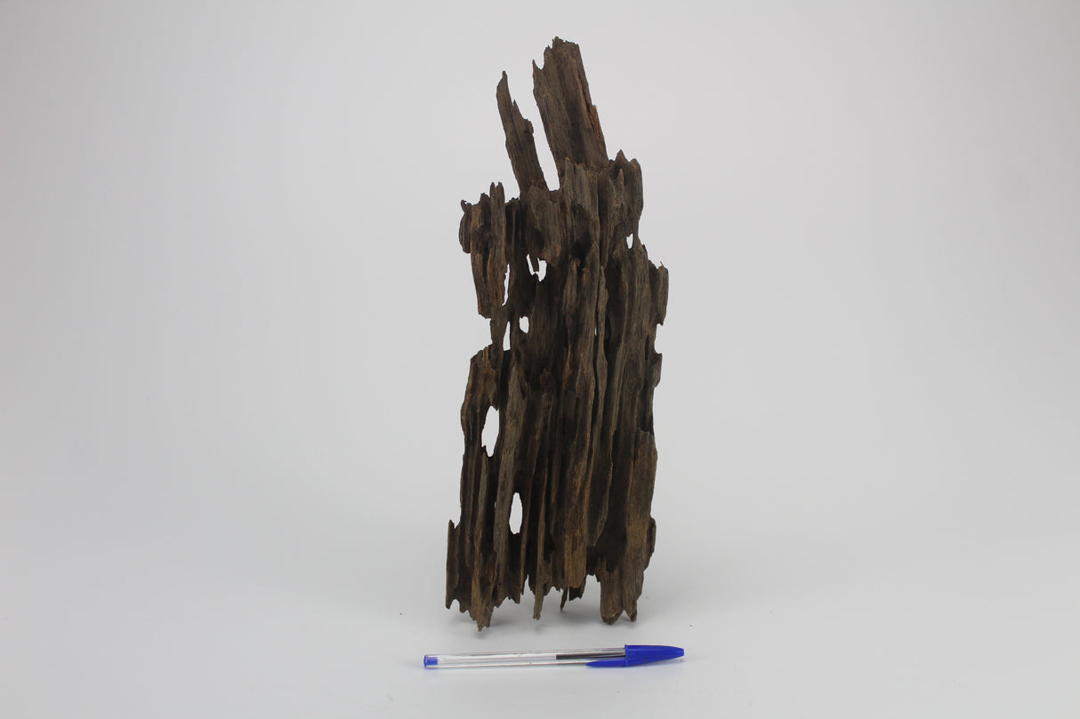 Dragon Wood para acuario