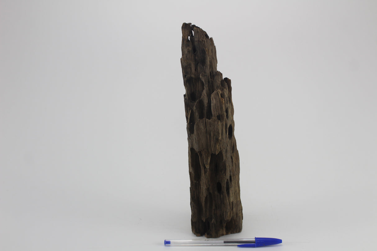 Dragon Wood para acuario