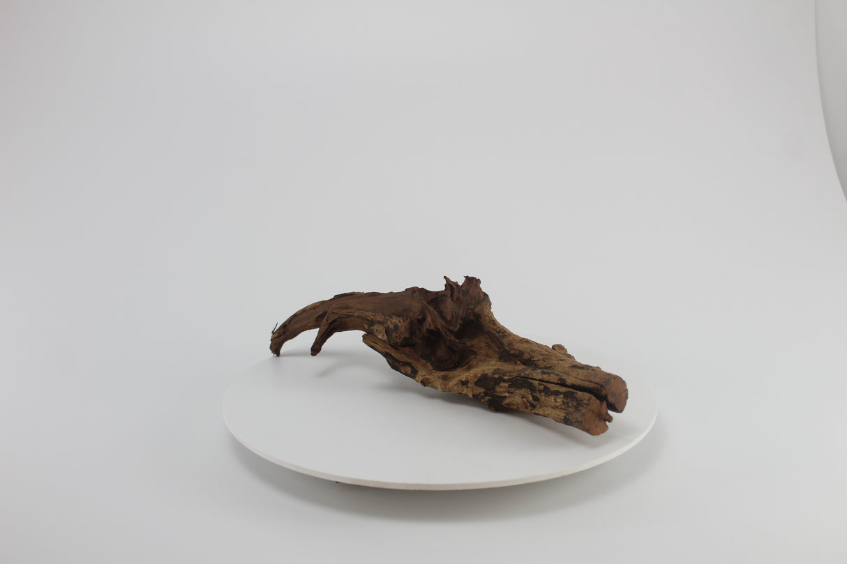 tronco drift wood para acuario
