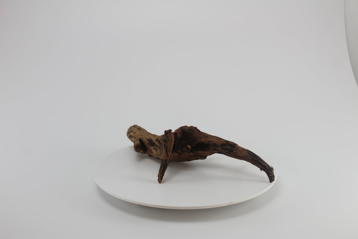 tronco drift wood para acuario