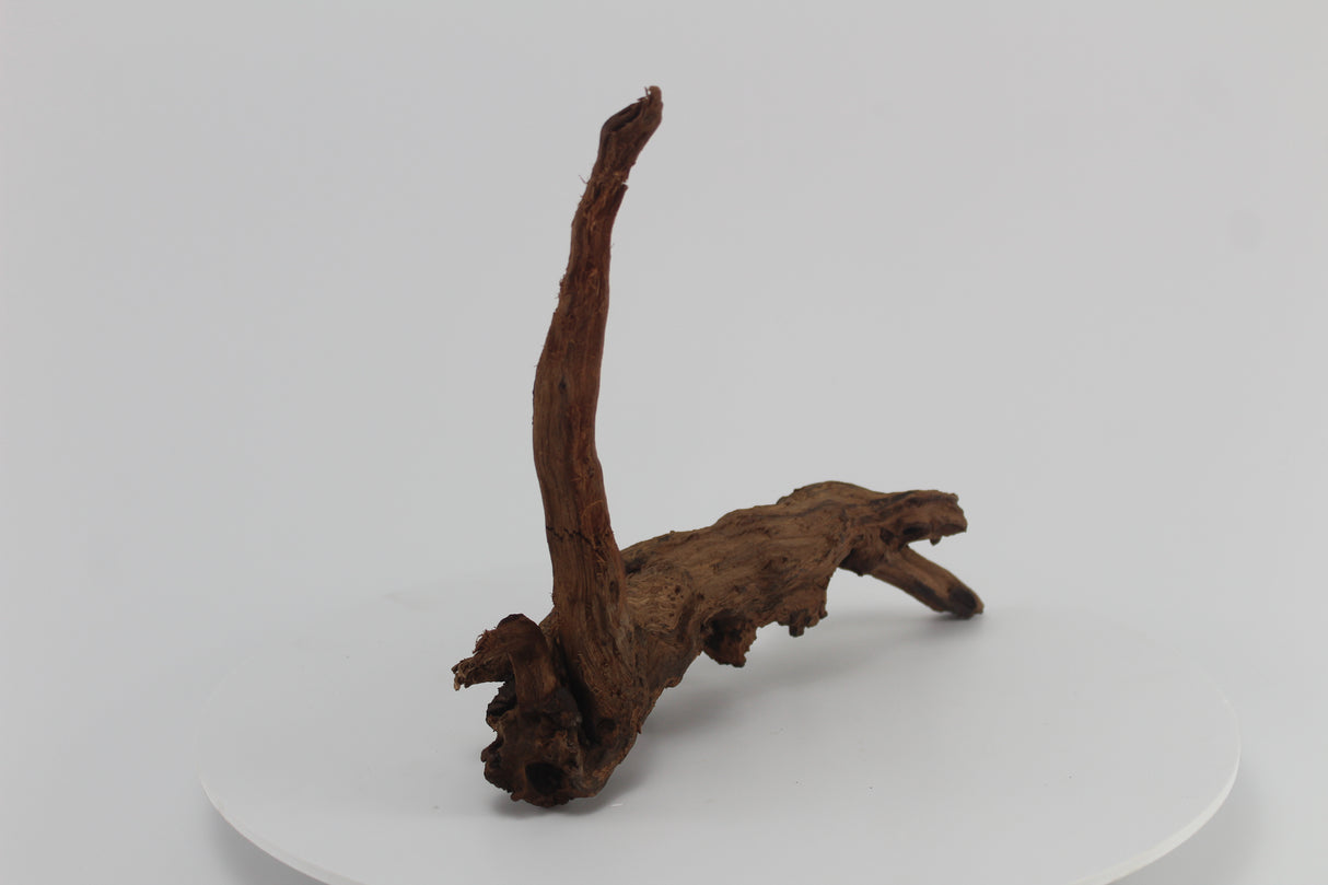 tronco drift wood para acuario