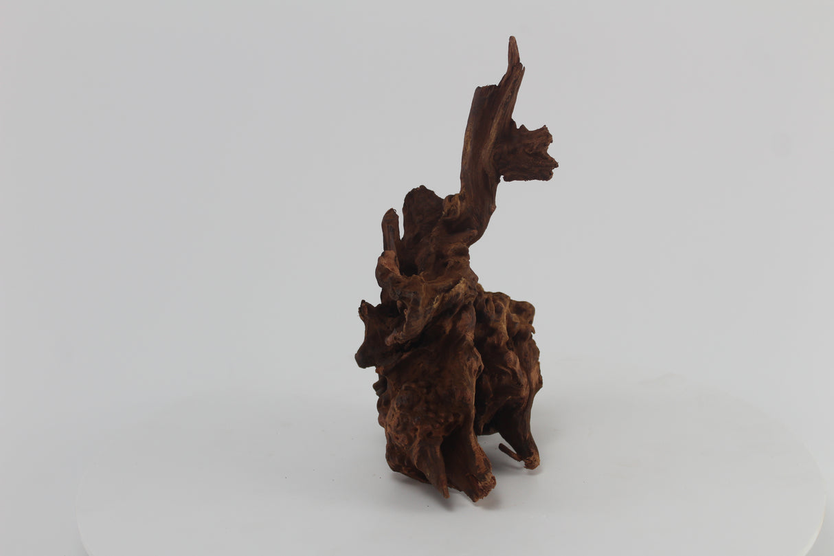 tronco drift wood para acuario