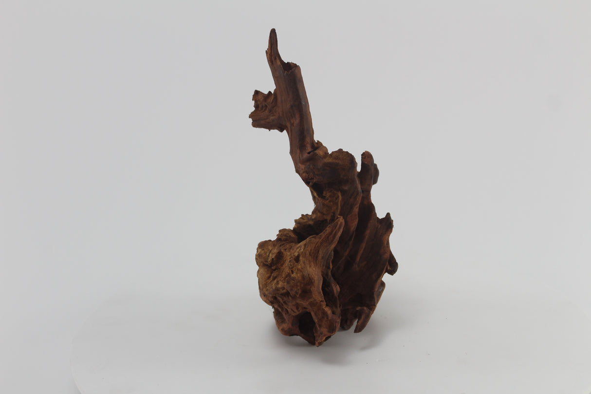 tronco drift wood para acuario