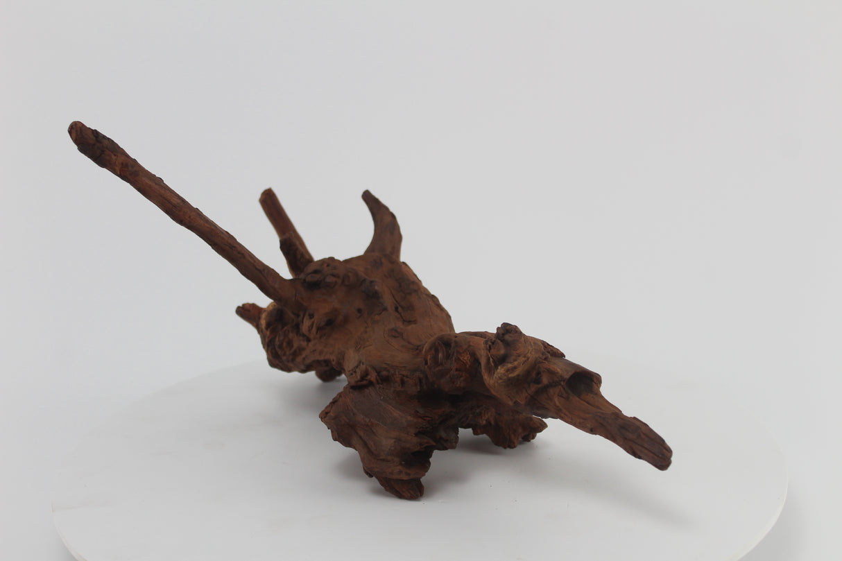 tronco drift wood para acuario