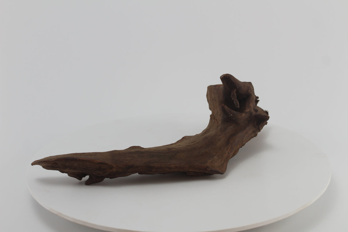 tronco drift wood para acuario