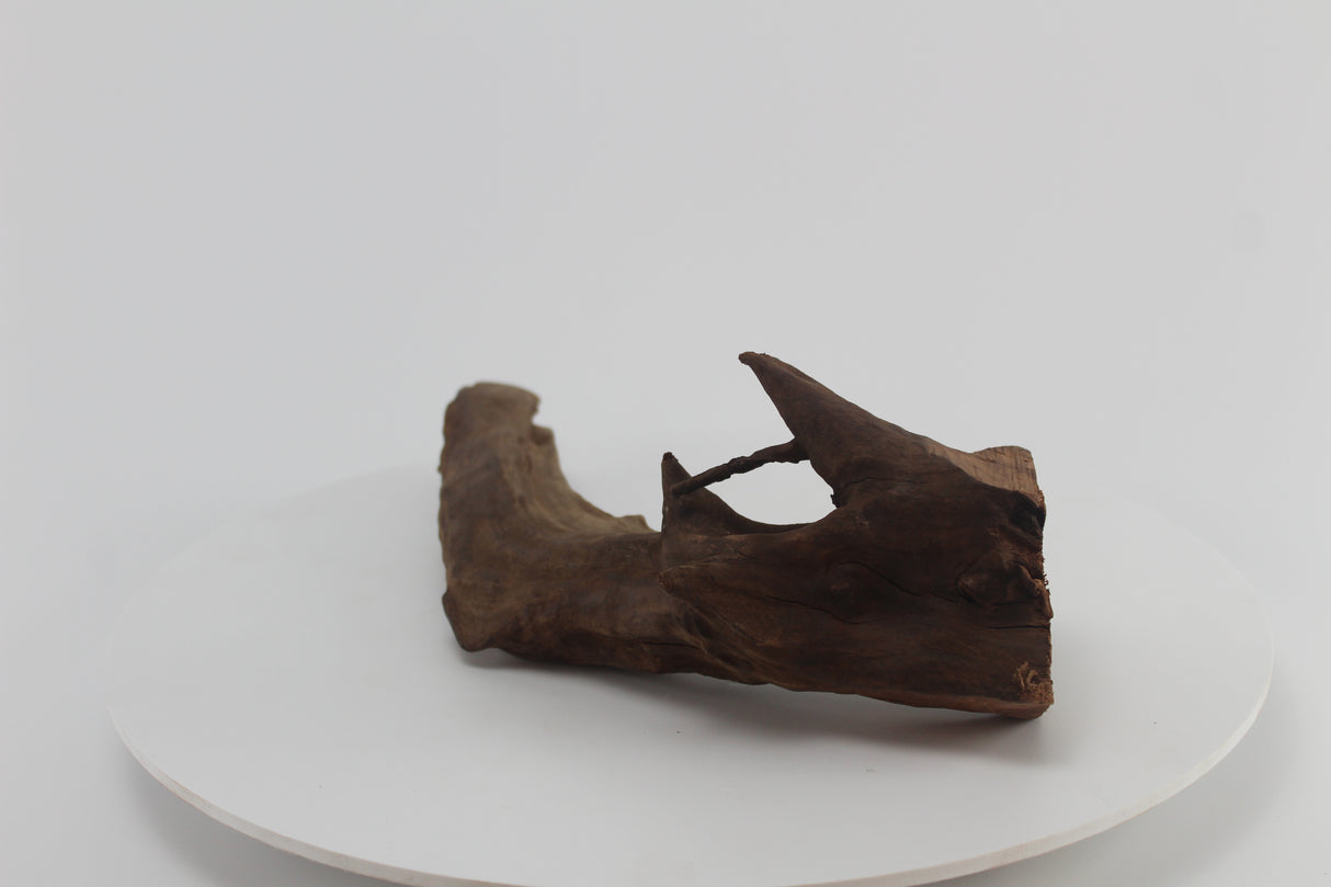 tronco drift wood para acuario