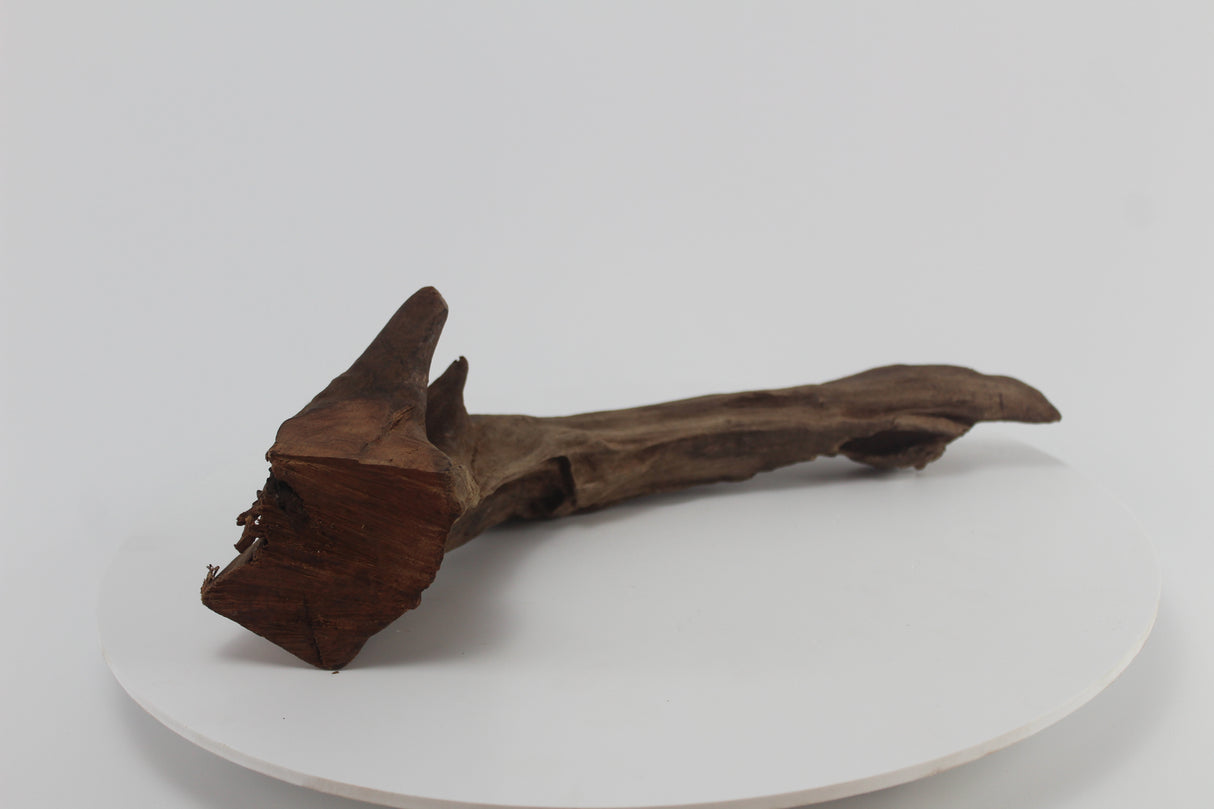 tronco drift wood para acuario