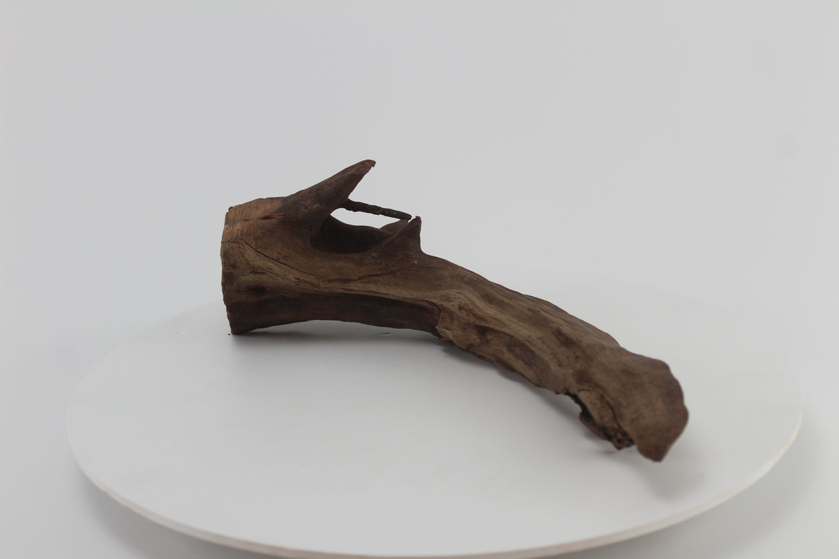 tronco drift wood para acuario