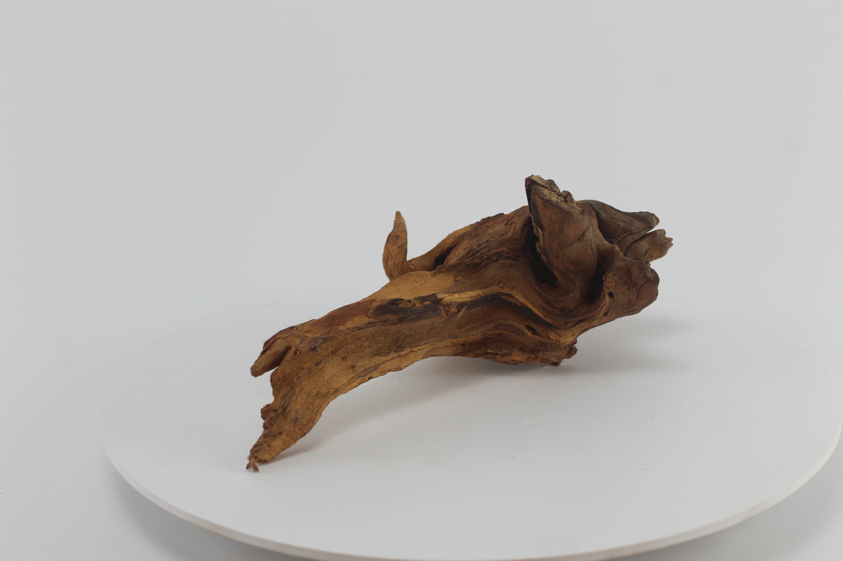 tronco drift wood para acuario