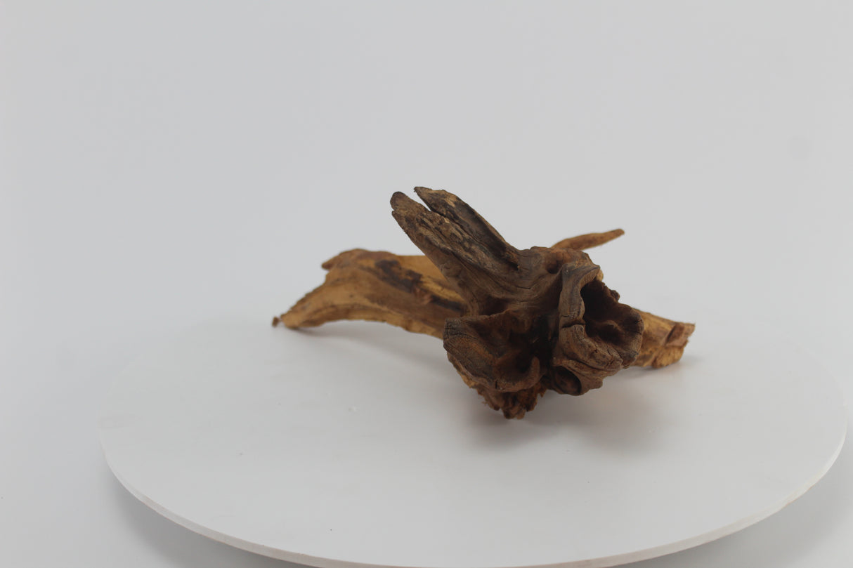 tronco drift wood para acuario