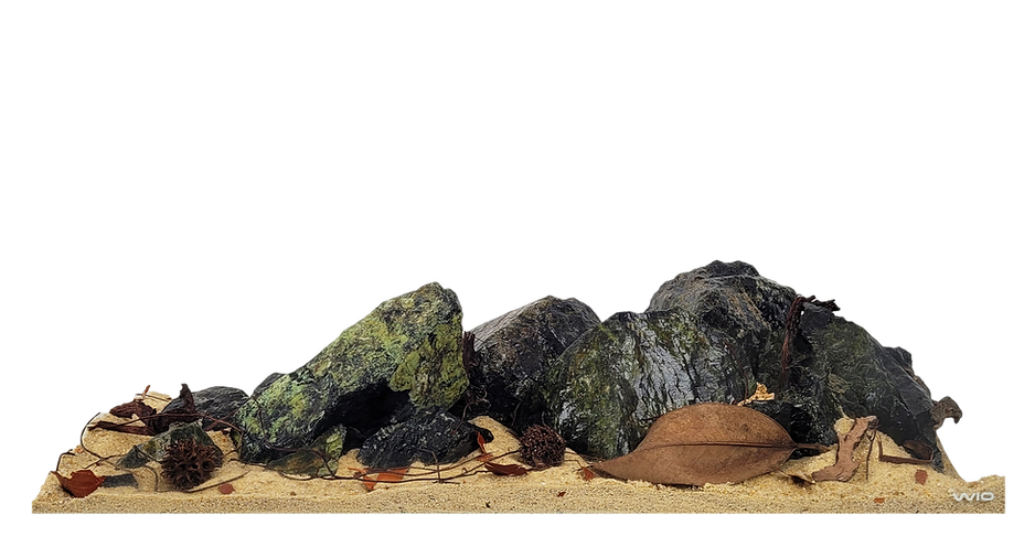 Kit de decoración WIO EVERGLADES