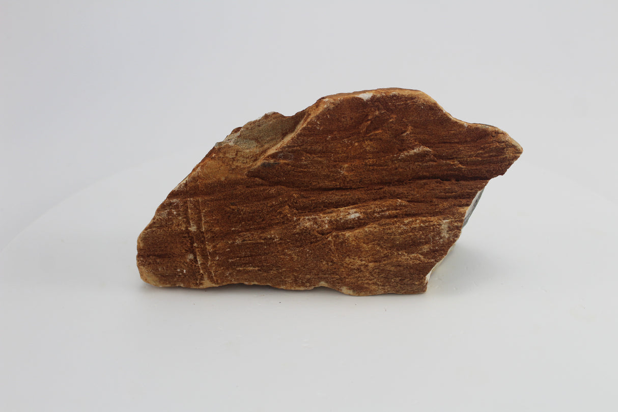 Sera Rock Grand Canyon para acuario