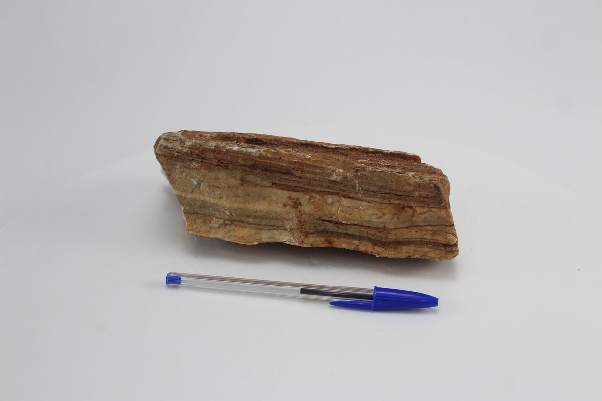 Sera Rock Grand Canyon para acuario