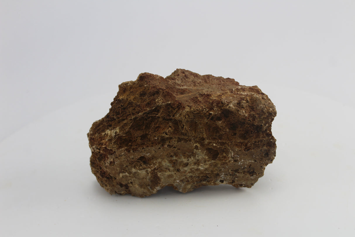 Sera Rock Grand Canyon para acuario