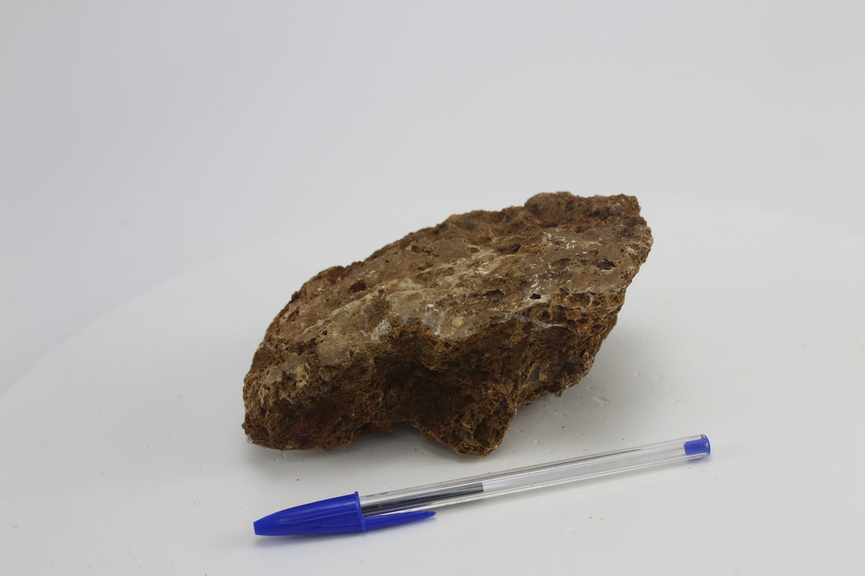 Sera Rock Grand Canyon para acuario