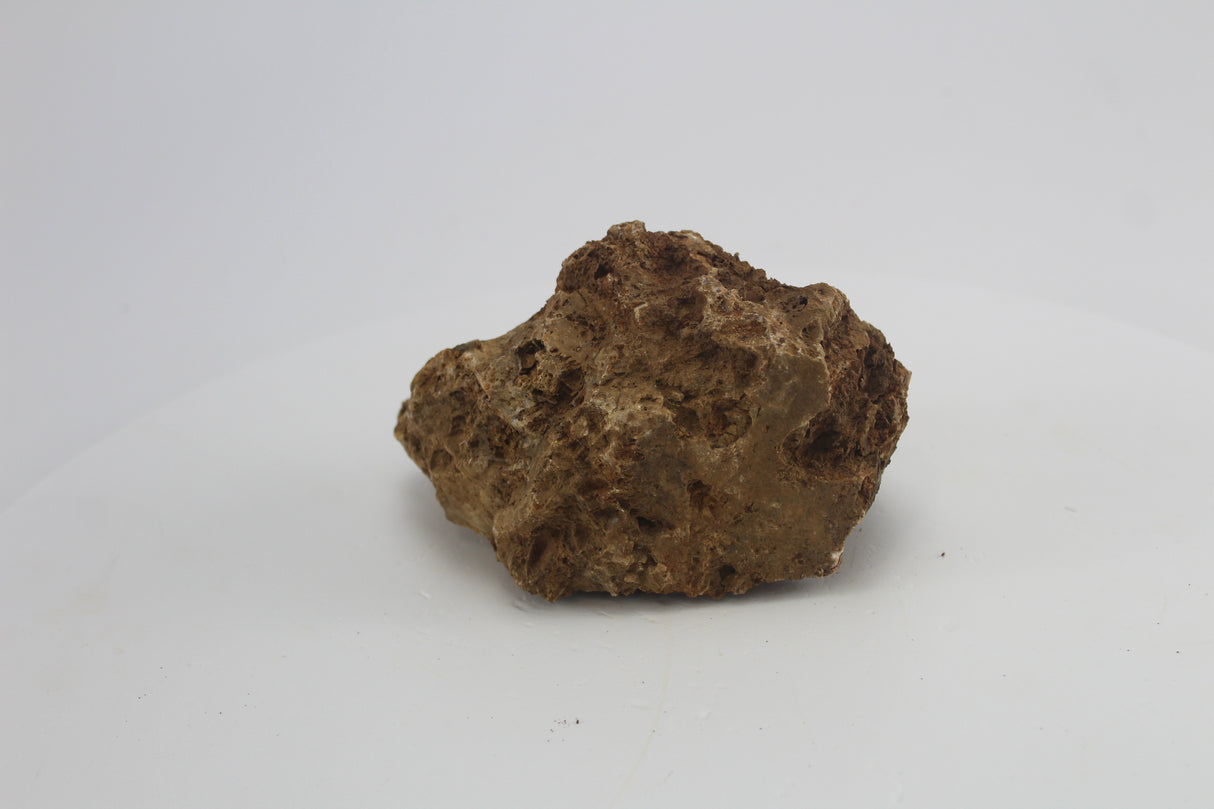 Sera Rock Grand Canyon para acuario