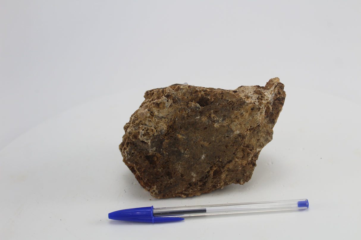 Sera Rock Grand Canyon para acuario