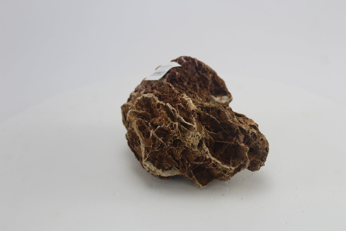 Sera Rock Grand Canyon para acuario