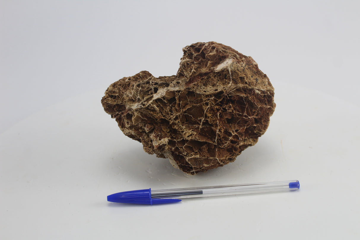 Sera Rock Grand Canyon para acuario