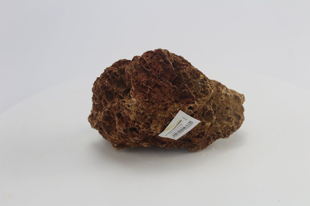 Sera Rock Grand Canyon para acuario