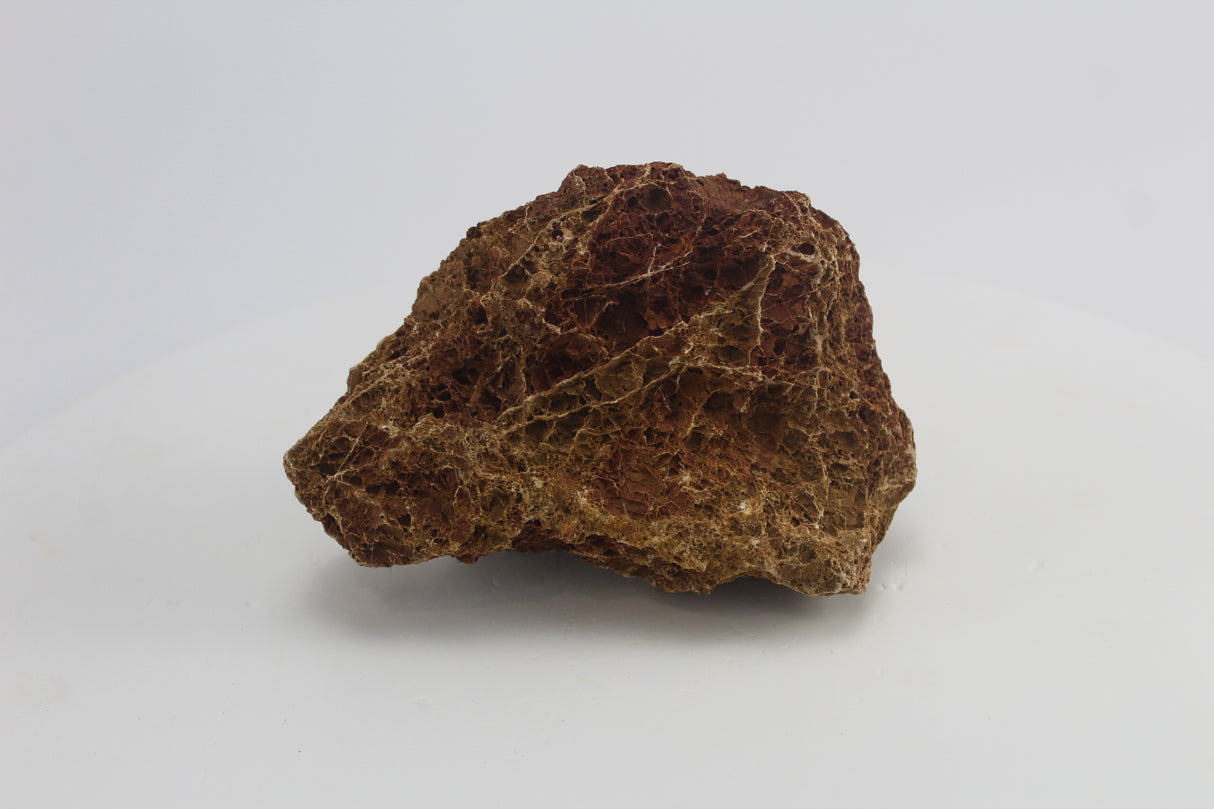 Sera Rock Grand Canyon para acuario