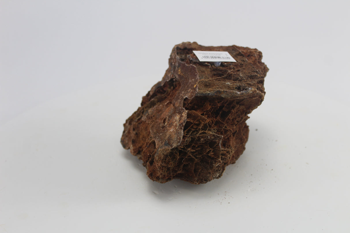 Sera Rock Grand Canyon para acuario