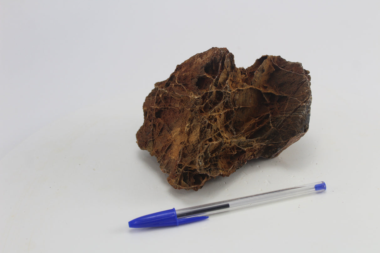 Sera Rock Grand Canyon para acuario