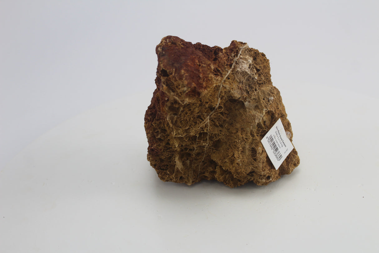 Sera Rock Grand Canyon para acuario