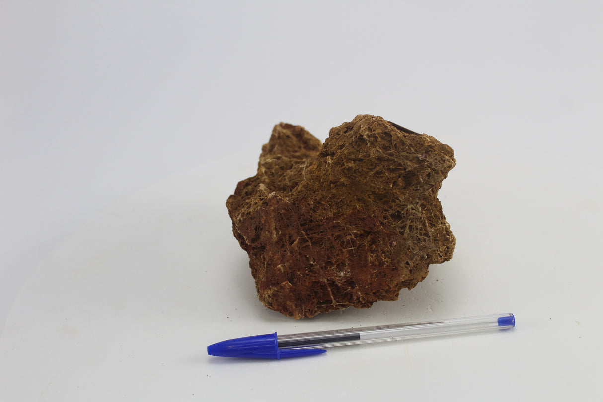 Sera Rock Grand Canyon para acuario